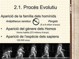 2.1. Procés Evolutiu Aparició de la família dels homínids Ardipithecus ramidus  =  Póngids   (5 a 8 milion d’anys) Aparició del gènere dels Homos Homo habilis (2’5 milions d’anys) Aparició de l’espècie dels sapiens 125.000 anys 