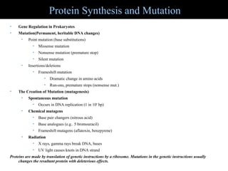 Protein Synthesis and Mutation
•    Gene Regulation in Prokaryotes
•    Mutation(Permanent, heritable DNA changes)
      •    Point mutation (base substitutions)
             •   Missense mutation
             •   Nonsense mutation (premature stop)
             •   Silent mutation
      •    Insertions/deletions
             •   Frameshift mutation
                    •   Dramatic change in amino acids
                    •   Run-ons, premature stops (nonsense mut.)
•    The Creation of Mutation (mutagenesis)
      •    Spontaneous mutation
             •   Occurs in DNA replication (1 in 109 bp)
      •    Chemical mutagens
             •   Base pair changers (nitrous acid)
             •   Base analogues (e.g.. 5 bromouracil)
             •   Frameshift mutagens (aflatoxin, benzpyrene)
      •    Radiation
             •   X rays, gamma rays break DNA, bases
             •   UV light causes knots in DNA strand
Proteins are made by translation of genetic instructions by a ribosome. Mutations in the genetic instructions usually
     changes the resultant protein with deleterious effects.
 