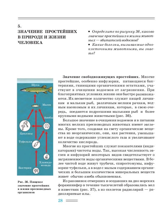 Биология 7 класс а.и никишов и.х.шарова параграф