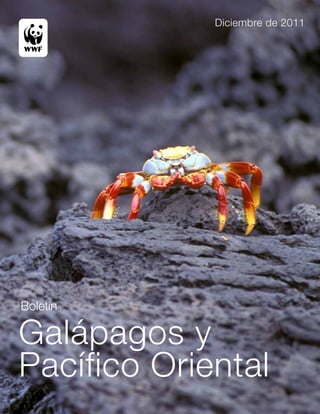 Diciembre de 2011




Boletín

Galápagos y
Pacífico Oriental
 