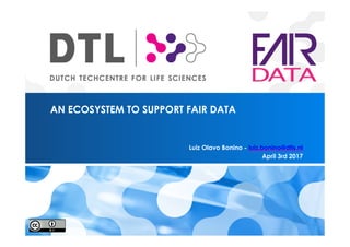 AN ECOSYSTEM TO SUPPORT FAIR DATA
Luiz Olavo Bonino - luiz.bonino@dtls.nl
April 3rd 2017