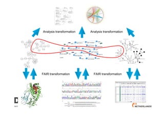 FAIR transformation FAIR transformation
Analysis transformation Analysis transformation
 