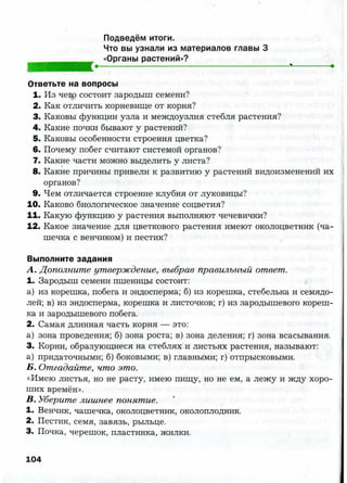 7 b p