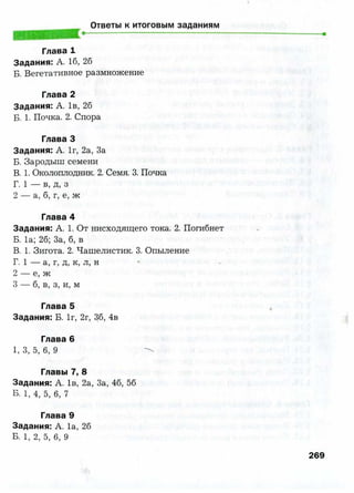 7 b p