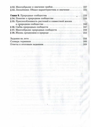 7 b p