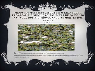PRODUTOS QUÍMICOS , ESGOTO E O LIXO PODEM
P R O V O C A R A D I M I N U I Ç Ã O D A S TA X A S D E OX I G Ê N I O
 N A S Á G UA D O S R I O P R O V O C A N D O A S M O R T E S D O S
                                PEIXES




 http://www.google.com.br/search?q=polui%C3%A7%C3%A3o+nos+rios&hl=pt-
 BR&prmd=imvns&source=lnms&tbm=isch&sa=X&ei=32xbUKXEHMfV0gGDpoHQBQ&sqi=2&ved=0CAcQ_AUo
 AQ&biw=1440&bih=755
 