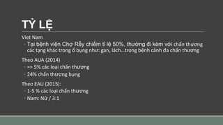 TỶ LỆ
Viet Nam
◦ Tại bệnh viện Chợ Rẫy chiếm tỉ lệ 50%, thường đi kèm với chấn thương
các tạng khác trong ổ bụng như: gan, lách…trong bệnh cảnh đa chấn thương
Theo AUA (2014)
◦ => 5% các loại chấn thương
◦ 24% chấn thương bụng
Theo EAU (2015):
◦ 1-5 % các loại chấn thương
◦ Nam: Nữ / 3:1
 