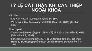 TỶ LỆ CẮT THẬN KHI CAN THIỆP
NGOẠI KHOA
Việt Nam
◦ Chu Văn Nhuận (2000) ghi nhận là 34, 69%,
◦ Vũ Nguyễn Khải Ca và cộng sự (2000) (Ca et al., 2000) ghi nhận
68%
Nước ngoài
◦ Theo Schmidlin và cộng sự (1997), tỉ lệ phải cắt thận chiếm 62-64%
(Schmidlin F.R, 1997)
◦ Benchekroun và cộng sự (1997), có 06 trường hợp phải cắt thận
trong 22 trường hợp phẫu thuật vì chấn thương thận, chiếm tỉ lệ
20%
 