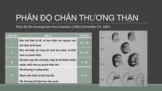 PHÂN ĐỘ CHẤN THƯƠNG THẬN
Phân độ tổn thương thận theo Chatelain (1981) (Schmidlin F.R, 1997)
Phân độ Mô tả Tỉ lệ (%)
I
Nhu mô thận bị vỡ, vỏ bao thận còn nguyên vẹn
(vỡ thận dưới bao)
70 – 75
II
Nhu mô thận vỡ cùng với rách bao thận, có khối
máu tụ quanh thận.
15 – 20
III
Vỡ phức tạp nhu mô thận, thận bị vỡ thành nhiều
mảnh, khối máu tụ quanh thận lớn.
7 – 10
IV
Tổn thương ở cuống thận:
Mạch máu thận: bị đứt hay tắc.
Tổn thương bể thận hay niệu quản.
3 – 5
 