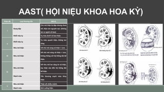 AAST( HỘI NIỆU KHOA HOA KỲ)
Phân độ tổn thương thận theo AAST
Phân độ Loại thương tổn Mô tả
I
Đụng dập
Chủ mô thận bị dập nhưng chưa
vỡ, thận còn nguyên vẹn. (không
lan ra ngoài vỏ bao)
Khối máu tụ Tụ máu dưới vỏ bao thận.
II
Khối máu tụ
Tụ máu quanh thận, không lan
rộng.
Nhu mô thận Vỡ chủ mô vùng vỏ thận < 1cm.
III Nhu mô thận
Vỡ chủ mô vùng vỏ thận > 1cm,
không thông với hệ thống đài bể
thận.
IV
Nhu mô thận
Vỡ nhu mô lan rộng từ vỏ thận,
tủy thận vào đến hệ thống đài
bể thận.
Mạch máu Tổn thương mạch máu thùy
thận
V
Nhu mô thận Thận vỡ nhiều mảnh.
Mạch máu Đứt cuống thận.
 