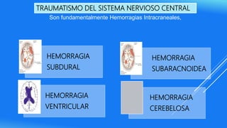 TRAUMATISMO DEL SISTEMA NERVIOSO CENTRAL
Son fundamentalmente Hemorragias Intracraneales,
HEMORRAGIA
SUBDURAL
HEMORRAGIA
VENTRICULAR
HEMORRAGIA
SUBARACNOIDEA
HEMORRAGIA
CEREBELOSA
 