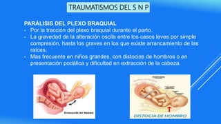 TRAUMATISMOS DEL S N P
PARÁLISIS DEL PLEXO BRAQUIAL
- Por la tracción del plexo braquial durante el parto.
- La gravedad de la alteración oscila entre los casos leves por simple
compresión, hasta los graves en los que existe arrancamiento de las
raíces.
- Mas frecuente en niños grandes, con distocias de hombros o en
presentación podálica y dificultad en extracción de la cabeza.
 