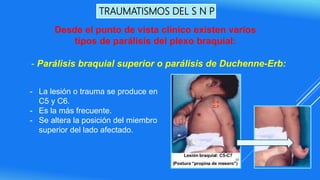 TRAUMATISMOS DEL S N P
- La lesión o trauma se produce en
C5 y C6.
- Es la más frecuente.
- Se altera la posición del miembro
superior del lado afectado.
Desde el punto de vista clínico existen varios
tipos de parálisis del plexo braquial:
- Parálisis braquial superior o parálisis de Duchenne-Erb:
 