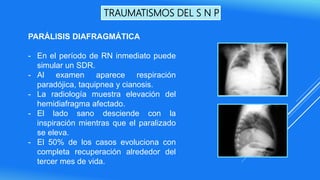 TRAUMATISMOS DEL S N P
PARÁLISIS DIAFRAGMÁTICA
- En el período de RN inmediato puede
simular un SDR.
- Al examen aparece respiración
paradójica, taquipnea y cianosis.
- La radiología muestra elevación del
hemidiafragma afectado.
- El lado sano desciende con la
inspiración mientras que el paralizado
se eleva.
- El 50% de los casos evoluciona con
completa recuperación alrededor del
tercer mes de vida.
 