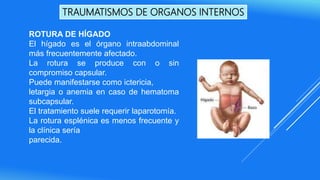 TRAUMATISMOS DE ORGANOS INTERNOS
ROTURA DE HÍGADO
El hígado es el órgano intraabdominal
más frecuentemente afectado.
La rotura se produce con o sin
compromiso capsular.
Puede manifestarse como ictericia,
letargia o anemia en caso de hematoma
subcapsular.
El tratamiento suele requerir laparotomía.
La rotura esplénica es menos frecuente y
la clínica sería
parecida.
 