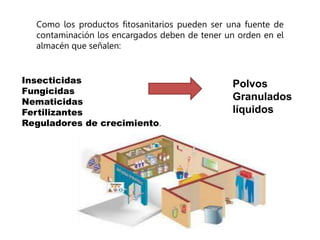 Como los productos fitosanitarios pueden ser una fuente de
contaminación los encargados deben de tener un orden en el
almacén que señalen:
Insecticidas
Fungicidas
Nematicidas
Fertilizantes
Reguladores de crecimiento.
Polvos
Granulados
líquidos
 
