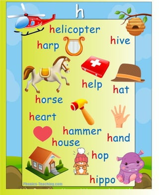 Flashcards and posters H h