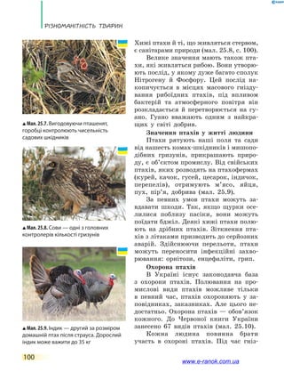 Різноманітність тварин
100
Хижі птахи й ті, що живляться стервом,
є санітарами природи (мал. 25.8, с. 100).
Велике значення мають також пта-
хи, які живляться рибою. Вони утворю-
ють послід, у якому дуже багато сполук
Нітрогену й Фосфору. Цей послід на-
копичується в місцях масового гнізду-
вання рибоїдних птахів, під впливом
бактерій та атмосферного повітря він
розкладається й перетворюється на гу-
ано. Гуано вважають одним з найкра-
щих  у  світі добрив.
Значення птахів у житті людини
Птахи рятують наші поля та сади
від нашесть комах-шкідників і мишопо-
дібних гризунів, прикрашають приро-
ду, є об’єктом промислу. Від свійських
птахів, яких розводять на птахофермах
(курей, качок, гусей, цесарок, індичок,
перепелів), отримують м’ясо, яйця,
пух, пір’я, добрива (мал. 25.9).
За певних умов птахи можуть за-
вдавати шкоди. Так, якщо щурки осе-
лилися поблизу пасіки, вони можуть
поїдати бджіл. Деякі хижі птахи полю-
ють на дрібних птахів. Зіткнення пта-
хів з літаками призводить до серйозних
аварій. Здійснюючи перельоти, птахи
можуть переносити інфекційні захво-
рювання: орнітози, енцефаліти, грип.
Охорона птахів
В Україні існує законодавча база
з охорони птахів. Полювання на про-
мислові види птахів можливе тільки
в  певний час, птахів охороняють у за-
повідниках, заказниках. Але цього не-
достатньо. Охорона птахів — обов’язок
кожного. До Червоної книги України
занесено 67 видів птахів (мал. 25.10).
Кожна людина повинна брати
участь в охороні птахів. Під час гніз-
Мал. 25.9. Індик — другий за розміром
домашній птах після страуса. Дорослий
індик може важити до 35 кг
Мал. 25.8. Сови — одні з головних
конт­ролерів кількості гризунів
Мал. 25.7. Вигодовуючи пташенят,
горобці контролюють чисельність
садових шкідників
www.e-ranok.com.ua
 