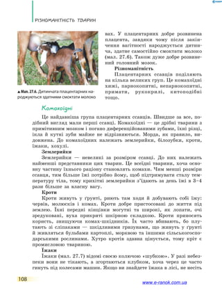 Різноманітність тварин
108
вах. У плацентарних добре розвинена
плацента, завдяки чому після закін-
чення вагітності народжується дитин-
ча, здатне самостійно смоктати молоко
(мал. 27.6). Також дуже добре розвине-
ний головний мозок.
Різноманітність
Плацентарних ссавців поділяють
на кілька великих груп. Це комахоїдні
хижі, парнокопитні, непарнокопитні,
примати, рукокрилі, китоподібні
тощо.
Комахоїдні
Це найдавніша група плацентарних ссавців. Швидше за все, по-
дібний вигляд мали перші ссавці. Комахоїдні — це дрібні тварини з
примітивним мозком і погано диференційованими зубами, їхні різці,
ікла й кутні зуби майже не відрізняються. Морда, як правило, ви-
довжена. До комахоїдних належать землерийки, білозубки, кроти,
їжаки, хохулі.
Землерийки
Землерийки — невеликі за розміром ссавці. До них належать
найменші представники цих тварин. Це всеїдні тварини, хоча осно-
вну частину їхнього раціону становлять комахи. Чим менші розміри
ссавця, тим більше їжі потрібно йому, щоб підтримувати сталу тем-
пературу тіла, тому крихітні землерийки з’їдають за день їжі в  3–4
рази більше за власну вагу.
Кроти
Кроти живуть у ґрунті, риють там ходи й добувають собі їжу:
червів, молюсків і комах. Кроти добре пристосовані до життя під
землею. Їхні передні кінцівки могутні та широкі, як лопати, очі
зредуковані, вуха прикриті шкірною складкою. Кроти приносять
користь, знищуючи комах-шкідників. Їх часто вбивають, бо плу-
тають зі сліпаками — шкідливими гризунами, що живуть у ґрунті
й  живляться бульбами картоплі, морквою та іншими сільськогоспо-
дарськими рослинами. Хутро кротів здавна цінується, тому кріт є
промисловою твариною.
Їжаки
Їжаки (мал. 27.7) відомі своєю колючою «шубкою». У разі небез-
пеки вони не тікають, а згортаються клубком, хоча через це часто
гинуть під колесами машин. Якщо ви знайдете їжака в лісі, не несіть
Мал. 27.6. Дитинчата плацентарних на-
роджуються здатними смоктати молоко
www.e-ranok.com.ua
 