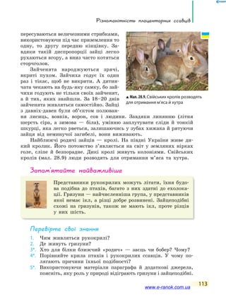 Різноманітність плацентарних ссавців
113
пересуваються величезними стрибками,
використовуючи під час приземлення то
одну, то другу передню кінцівку. За-
вдяки такій диспропорції зайці легко
рухаються вгору, а вниз часто котяться
сторчголов.
Зайченята народжуються зрячі,
вкриті пухом. Зайчиха годує їх один
раз і тікає, щоб не викрити. А дитин-
чата чекають на будь-яку самку, бо зай-
чихи годують не тільки своїх зайченят,
а й тих, яких знайшли. За 18–20 днів
зайченята живляться самостійно. Зайці
з давніх-давен були об’єктом полюван-
ня лисиць, вовків, ворон, сов і людини. Завдяки линянню (літня
шерсть сіра, а зимова — біла), умінню заплутувати сліди й тонкій
шкурці, яка легко рветься, залишаючись у зубах хижака й рятуючи
зайця від неминучої загибелі, вони виживають.
Найближчі родичі зайців — кролі. На півдні України живе ди-
кий кролик. Його потомство з’являється на світ у земляних нірках
голе, сліпе й безпорадне. Дикі кролі живуть колоніями. Свійських
кролів (мал. 28.9) люди розводять для отримання м’яса та хутра.
запам’ятайте найважливіше
Представники рукокрилих можуть літати, їхня будо-
ва подібна до птахів, багато з них здатні до ехолока-
ції. Гризуни — найчисленніша група, у представників
якої немає ікл, а різці добре розвинені. Зайцеподібні
схожі на гризунів, також не мають ікл, проте різців
у них шість.
Перевірте свої знання
1. Чим живляться рукокрилі?
2. Де живуть гризуни?
3*. Хто для білки ближчий «родич» — заєць чи бобер? Чому?
4*. Порівняйте крила птахів і рукокрилих ссавців. У чому по-
лягають причини їхньої подібності?
5*. Використовуючи матеріали параграфа й додаткові джерела,
поясніть, яку роль у природі відіграють гризуни і зайцеподібні.
Мал.28.9.Свійських кролів розводять
для отримання м’яса й хутра
www.e-ranok.com.ua
 