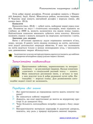Різноманітність плацентарних ссавців
117
Усім добре відомі дельфіни. Річкові дельфіни живуть у Півден-
ній Америці, Індії, Китаї. Живляться рибою, молюсками, червами.
У Чорному морі живуть звичайний дельфін і морська свиня, або
азовка (мал. 29.5).
Кашалоти
Кашалоти (мал. 29.6) — зубаті кити, найкращі нирці серед ссав-
ців. Полюючи на акул і гігантських кальмарів, вони пірнають на
глибину до 2000 м, можуть залишатися під водою понад годину.
Найлютішим хижаком вважають зубатого кита косатку. Косатки
полюють зграєю і можуть нападати на морських ластоногих і китів.
Значення для людини
Кити є об’єктами промислу задля отримання китового м’яса,
жиру, шкури. З давніх часів людина полювала на китів, застосову-
ючи дедалі досконаліші знаряддя вбивства. У наш час полювання
на китів ведеться тільки в межах міжнародних угод, і чисельність
цих дивовижних тварин збільшується.
За допомогою сучасних методів досліджень вдалося встановити, що найближ-
чим родичем китоподібних серед сучасних тварин є бегемот.
запам’ятайте найважливіше
Представники хоботних, парнокопитних та непарно-
копитних — це рослиноїдні тварини. Пальці копитних
«одягнені» в спеціальний роговий чохол — копито.
Вони живляться рослинною їжею, у зв’язку із чим
у них відсутні ікла й добре розвинені кутні зуби. Ки-
топодібні — морські ссавці. Для розмноження кито-
подібні водної стихії не залишають.
Перевірте свої знання
1. Які пристосування до середовища життя мають копитні тва-
рини?
2. Як живляться хоботні тварини?
3*. Доведіть, що коні пристосовані до життя на відкритому про-
сторі й до швидкого бігу.
4*. Чому більшість китоподібних потребує охорони з боку люди-
ни?
5*. Використовуючи матеріали параграфа й додаткові джерела,
поясніть, яку роль у природі відіграють вивчені тварини.
www.e-ranok.com.ua
 