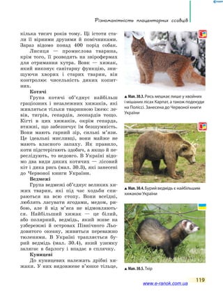 Різноманітність плацентарних ссавців
119
кілька тисяч років тому. Ці істоти ста-
ли її вірними друзями й помічниками.
Зараз відомо понад 400  порід собак.
Лисиця — промислова тварина,
крім того, її розводять на звірофермах
для отримання хутра. Вовк — хижак,
який виконує санітарну функцію, зни-
щуючи хворих і старих тварин, він
контролює чисельність диких копит-
них.
Котячі
Група котячі об’єднує найбільш
граціозних і незалежних хижаків, які
живляться тільки тваринною їжею: ле-
вів, тигрів, гепардів, леопардів тощо.
Кігті в цих хижаків, окрім гепарда,
втяжні, що забезпечує їм безшумність.
Вони мають гарний зір, сильні м’язи.
Це ідеальні мисливці, вони майже не
мають власного запаху. Як правило,
коти підстерігають здобич, а якщо й пе-
реслідують, то недовго. В Україні відо-
мо два види диких котячих — лісовий
кіт і дика рись (мал. 30.3), які занесені
до  Червоної книги України.
Ведмежі
Група ведмежі об’єднує великих хи-
жих тварин, які під час ходьби спи-
раються на всю стопу. Вони всеїдні,
люблять ласувати ягодами, медом, ри-
бою, але й від м’яса не відмовляють-
ся. Найбільший хижак — це білий,
або полярний, ведмідь, який живе на
узбережжі й островах Північного Льо-
довитого океану, живиться переважно
тюленями. В Україні трапляється бу-
рий ведмідь (мал. 30.4), який узимку
залягає в барлогу і впадає в сплячку.
Куницеві
До куницевих належать дрібні хи-
жаки. У них видовжене в’юнке тільце,
Мал.30.3.Рись мешкає лише у хвой­них
і мішаних лісах Карпат, а також подекуди
на Поліссі. Занесена до Червоної книги
України
Мал.30.5.Тхір
Мал.30.4.Бурий ведмідь є найбільшим
хижаком України
www.e-ranok.com.ua
 