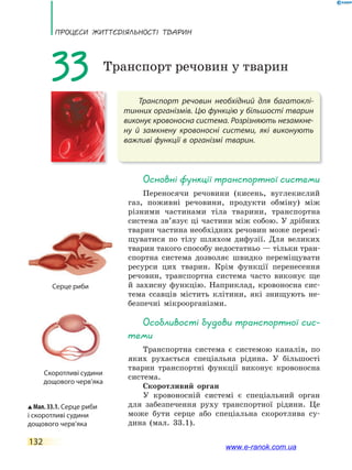 ПРоцЕси ЖиТТєдіЯЛьносТі ТВаРин
132
Транспорт речовин необхідний для багатоклі-
тинних організмів. Цю функцію у більшості тварин
виконує кровоносна система. Розрізняють незамкне-
ну й замкнену кровоносні системи, які виконують
важливі функції в організмі тварин.
33 Транспорт речовин у тварин
основні функції транспортної системи
Переносячи речовини (кисень, вуглекислий
газ, поживні речовини, продукти обміну) між
різними частинами тіла тварини, транспортна
система зв’язує ці частини між собою. У дрібних
тварин частина необхідних речовин може перемі-
щуватися по тілу шляхом дифузії. Для великих
тварин такого способу недостатньо — тільки тран-
спортна система дозволяє швидко переміщувати
ресурси цих тварин. Крім функції перенесення
речовин, транспортна система часто виконує ще
й захисну функцію. Наприклад, кровоносна сис-
тема ссавців містить клітини, які знищують не-
безпечні мікроорганізми.
особливості будови транспортної сис-
теми
Транспортна система є системою каналів, по
яких рухається спеціальна рідина. У більшості
тварин транспортні функції виконує кровоносна
система.
Скоротливий орган
У кровоносній системі є спеціальний орган
для забезпечення руху транспортної рідини. Це
може бути серце або спеціальна скоротлива су-
дина (мал. 33.1).
Мал. 33.1. Серце риби
і скоротливі судини
дощового черв’яка
Серце риби
Скоротливі судини
дощового черв’яка
www.e-ranok.com.ua
 