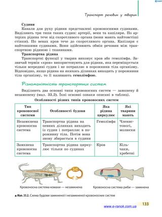 Транспорт речовин у тварин
133
Судини
Канали для руху рідини представлені кровоносними судинами.
Виділяють три типи таких судин: артерії, вени та капіляри. По ар-
теріях рідина тече від скоротливого органа (вони мають найтовстіші
стінки). По венах кров тече до скоротливого органа. Капіляри є
найтоншими судинами. Вони здійснюють обмін речовин між тран-
спортною рідиною і тканинами.
Транспортна рідина
Транспортні функції у тварин виконує кров або гемолімфа. За-
звичай термін «кров» використовують для рідини, яка переміщується
тільки всередині судин і не потрапляє в порожнини тіла організму.
Відповідно, якщо рідина на якихось ділянках виходить у порожнини
тіла організму, то її називають гемолімфою.
Різноманітність транспортних систем
Виділяють два основні типи кровоносних систем — замкнену й
незамкнену (мал. 33.2). Їхні основні ознаки описані в таблиці.
Особливості різних типів кровоносних систем
Тип
кровоносної
системи
Особливості будови
Яка
рідина
циркулює
Які
тварини
мають
Незамкнена
кровоносна
система
Транспортна рідина на
певних ділянках виходить
із судин і потрапляє в по-
рожнину тіла. Потім вона
знову збирається в судини
Гемолімфа Членис-
тоногі,
молюски
Замкнена
кровоносна
система
Транспортна рідина цирку-
лює тільки по судинах
Кров Кіль-
чаки,
хребетні
Кровоносна система комахи — незамкнена
Мал. 33.2. Схема будови замкненої і незамкненої кровоносних систем
Кровоносна система риби — замкнена
www.e-ranok.com.ua
 