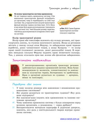 135
Транспорт речовин у тварин
Не всяка транспортна система кровоносна
Не всі тварини мають кровоносну систему. Утім
виконання транспортних функцій потребують
усі організми, тому їх перебирають на себе інші
системи. Так, у паразитичних сисунів транспортні
функції виконує травна система (мал. 33.5). Вона
в них може бути дуже розгалуженою і проникати
в усі частини тіла. Чим більший розмір черв’яка,
тим більш розгалуженою й складною є його трав-
на система.
Колір транспортної рідини
Колір крові або гемолімфи залежить від складу речовин, які тран-
спортують кисень, та ступеня насиченості киснем. Якщо ці речовини
містять у своєму складі атом Феруму, то забарвлення крові червоне
(хребетні, деякі членистоногі тощо), а якщо Купруму — то колір
крові синій (головоногі молюски, деякі ракоподібні тощо). В окре-
мих випадках сполуки Феруму надають крові незвичного кольору.
Так, у деяких кільчаків кров має зелене або фіолетове забарвлення.
запам’ятайте найважливіше
У високорозвинених організмів транспорт речовин
здійснюється завдяки кровоносній системі. Вона буває
незамкненою (у молюсків, членистоногих) та замкне-
ною (у кільчастих червів, безчерепних та хребетних).
Кров в організмі рухається по судинах — артеріях,
венах та капілярах.
Перевірте свої знання
1. У чому полягає різниця між замкненою і незамкненою кро-
воносними системами?
2. Які рідини рухаються по транспортних судинах? Яку роль
вони відіграють?
3*. Які взаємозв’язки існують між кровоносною та іншими сис-
темами організму?
4*. Чому замкнена кровоносна система є більш поширеною серед
великих організмів, а незамкнена — серед дрібних?
5*. Використовуючи матеріали параграфа й додаткові джерела,
поясніть, яку роль у життєдіяльності тварин відіграє крово-
носна система.
Мал. 33.5. Схема будови
транспортної системи
плоского черв’яка
www.e-ranok.com.ua
 