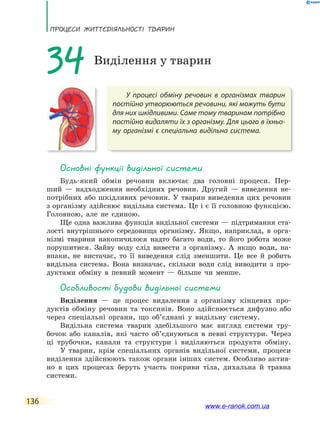 ПРоцЕси ЖиТТєдіЯЛьносТі ТВаРин
136
У процесі обміну речовин в організмах тварин
постійно утворюються речовини, які можуть бути
для них шкідливими. Саме тому тваринам потрібно
постійно видаляти їх з організму. Для цього в їхньо-
му організмі є спеціальна видільна система.
34 Виділення у тварин
основні функції видільної системи
Будь-який обмін речовин включає два головні процеси. Пер-
ший — надходження необхідних речовин. Другий — виведення не-
потрібних або шкідливих речовин. У тварин виведення цих речовин
з організму здійснює видільна система. Це і є її головною функцією.
Головною, але не єдиною.
Ще одна важлива функція видільної системи — підтримання ста-
лості внутрішнього середовища організму. Якщо, наприклад, в орга-
нізмі тварини накопичилося надто багато води, то його робота може
порушитися. Зайву воду слід вивести з організму. А якщо води, на-
впаки, не вистачає, то її виведення слід зменшити. Це все й робить
видільна система. Вона визначає, скільки води слід виводити з про-
дуктами обміну в певний момент — більше чи менше.
особливості будови видільної системи
Виділення — це процес видалення з організму кінцевих про-
дуктів обміну речовин та токсинів. Воно здійснюється дифузно або
через спеціальні органи, що об’єднані у видільну систему.
Видільна система тварин здебільшого має вигляд системи тру-
бочок або каналів, які часто об’єднуються в певні структури. Через
ці трубочки, канали та структури і виділяються продукти обміну.
У тварин, крім спеціальних органів видільної системи, процеси
виділення здійснюють також органи інших систем. Особливо актив-
но в цих процесах беруть участь покриви тіла, дихальна й травна
системи.
www.e-ranok.com.ua
 