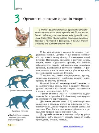 ВсТУП
14
З клітин багатоклітинних організмів утворю-
ються органи й системи органів, які діють злаго-
джено, забезпечуючи виконання всіх функцій орга-
нізму. Їхня будова сформувалася протягом тривалої
еволюції і  пов’язана з функціями. У рослин також
є органи, але систем органів немає.
3 Органи та системи органів тварин
У багатоклітинних тварин із тканин утво-
рюються органи. Органи — це частини організ-
му, що мають певну будову й виконують певні
функції. Наприклад, органами є шлунок, серце,
нирки, легені. Сукупність органів, які спільно
забезпечують перебіг найважливіших життєвих
процесів, називаються системою органів. У різ-
них тварин вони складаються з різних органів,
але виконують однакові функції.
У тварин виділяють опорно-рухову, травну,
дихальну, кровоносну, видільну, нервову, ендо-
кринну та статеву системи.
Основні функції опорно-рухової системи —
це забезпечення опори, руху й захисту. Опорно-
рухова система більшості тварин складається
з м’язів і скелета (мал. 3.1).
Травна система (мал. 3.1) забезпечує надхо-
дження їжі в організм і її підготовку до внутріш-
ньоклітинного перетворення.
Дихальна система (мал. 3.1) забезпечує над-
ходження в організм кисню та виведення вугле-
кислого газу. Деякі тварини не мають дихальної
системи. Газообмін у них може відбуватися в ре-
зультаті дифузії через покриви тіла.
До органів дихання належать зябра (у рако-
подібних, риб), трахеї (у комах), легені (у змій,
крокодилів, птахів, ссавців).
Мал. 3.1. Скелет, травна
і видільна, дихальна,
системи тварини
Скелет
Травна і видільна системи
Дихальна система
www.e-ranok.com.ua
 