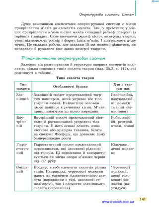 Опорно-рухова система. Скелет
141
Дуже важливими елементами опорно-рухової системи є місця
прикріплення м’язів до елементів скелета. Так, у хребетних у міс-
цях прикріплення м’язів кістки мають складний рельєф поверхні із
горбиків і западин. Саме вивчаючи рельєф кісток вимерлих тварин,
учені відтворюють розмір і форму їхніх м’язів. І відтворюють дуже
точно. Це складна робота, але завдяки їй ми можемо дізнатися, як
виглядали й рухалися вже давно вимерлі тварини.
Різноманітність опорно-рухових систем
Залежно від розташування й структури опорних елементів виді-
ляють кілька основних типів скелета тварин (мал. 35.3, с. 142), які
розглянуті в таблиці.
Типи скелета тварин
Тип
скелета
Особливості будови
Хто з тва-
рин має
Зов­
нішній
Зовнішній скелет представлений твер-
дим панциром, який укриває все тіло
тварини ззовні. Найчастіше основою
цього панцира є речовина хітин. М’язи
прикріплюються до нього зсередини
Ракоподібні,
павукоподіб-
ні, комахи
та інші чле-
нистоногі
Вну-
тріш-
ній
Внутрішній скелет представлений кіст-
ками й розташований усередині тіла
тварини. У його основі лежить жива
кісткова або хрящова тканина, багата
на сполуки Фосфору, що дозволяє йому
безперешкодно рости
Риби, амфі-
бії, рептилії,
птахи, ссавці
Гідро-
статич-
ний
Гідростатичний скелет представлений
порожнинами, які заповнені рідиною
під тиском. Ці порожнини й використо-
вуються як місця опори м’язами червів
під час руху
Кільчаки,
деякі молюс-
ки
Зміша-
ний
Поєднує в собі елементи скелетів різних
типів. Наприклад, черевоногі молюски
мають як елементи гідростатичного ске-
лета (порожнини в тілі, заповнені ге-
молімфою), так і елементи зовнішнього
скелета (черепашка)
Черевоногі
молюски,
деякі голо-
воногі мо-
люски (на-
утилуси)
www.e-ranok.com.ua
 