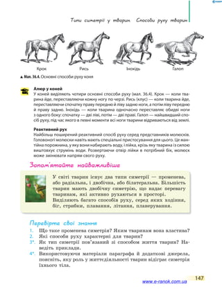Типи симетрії у тварин. способи руху тварин
147
Алюр у коней
У коней виділяють чотири основні способи руху (мал. 36.4). Крок — коли тва-
рина йде, переставляючи кожну ногу по черзі. Рись (клус) — коли тварина йде,
переставляючи спочатку праву передню й ліву задню ноги, а потім ліву передню
й праву задню. Інохідь — коли тварина одночасно переставляє обидві ноги
з одного боку: спочатку — дві ліві, потім — дві праві. Галоп — найшвидший спо-
сіб руху, під час якого в певні моменти всі ноги тварини відриваються від землі.
Реактивний рух
Найбільш поширений реактивний спосіб руху серед представників молюсків.
Головоногі молюски навіть мають спеціальні пристосування для цього. Це ман-
тійна порожнина, у яку вони набирають воду, і лійка, крізь яку тварина із силою
виштовхує струмінь води. Розвертаючи отвір лійки в потрібний бік, молюск
може змінювати напрям свого руху.
запам’ятайте найважливіше
У світі тварин існує два типи симетрії — променева,
або радіальна, і двобічна, або білатеральна. Більшість
тварин мають двобічну симетрію, що надає перевагу
тваринам, які активно рухаються в просторі.
Виділяють багато способів руху, серед яких ходіння,
біг, стрибки, плавання, літання, планерування.
Перевірте свої знання
1. Що таке променева симетрія? Яким тваринам вона властива?
2. Які способи руху характерні для тварин?
3*. Як тип симетрії пов’язаний зі способом життя тварин? На-
ведіть приклади.
4*. Використовуючи матеріали параграфа й додаткові джерела,
поясніть, яку роль у життєдіяльності тварин відіграє симетрія
їхнього тіла.
Мал. 36.4. Основні способи руху коня
Крок Рись Інохідь Галоп
www.e-ranok.com.ua
 