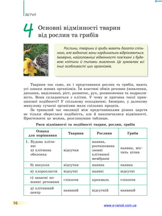 ВсТУП
16
Рослини, тварини й гриби мають багато спіль-
ного, але водночас вони кардинально відрізняються.
Імовірно, найголовніші відмінності пов’язані з будо-
вою клітини й типами живлення. Це зумовлює всі
інші особливості цих організмів.
4 Основні відмінності тварин
від рослин та грибів
Тварини так само, як і представники рослин та грибів, мають
усі ознаки живих організмів. Їм властиві обмін речовин (живлення,
дихання, виділення), ріст, розвиток, рух, розмноження та подразли-
вість. Вони складаються з клітин. У чому ж причина такої прин-
ципової подібності? У спільному походженні. Імовірно, у далекому
минулому сучасні організми мали спільних предків.
За тривалий час еволюції між представниками різних царств
не тільки збереглася подібність, але й накопичилися відмінності.
Простежити це можна, розглянувши таблицю.
Риси відмінності та подібності тварин, рослин, грибів
Ознака
для порівняння
Тварини Рослини Гриби
1. Будова кліти-
ни:
а) клітинна
оболонка
відсутня
наявна,
розташована
ззовні
клітинної
мембрани
наявна, міс-
тить хітин
б) вакуоля відсутня наявна наявна
в) хлоропласти відсутні наявні відсутні
г) запасні по-
живні речовини
глікоген крохмаль глікоген
д) клітинний
центр
наявний відсутній наявний
www.e-ranok.com.ua
 