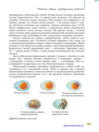 Розвиток тварин. індивідуальний розвиток
165
материнської і батьківської особин. Розмір зиготи в різних організмів
суттєво відрізняється. Так, у ссавців вона маленька, бо зародок не
потребує великого запасу речовин. Він отримує все необхідне з ор-
ганізму матері. А у птахів зигота велика — це жовток яйця. У ньо-
му містяться необхідні для розвитку зародка речовини (мал. 41.2).
Потім відбувається поділ зиготи, у результаті якого утворюється
певна кількість дуже схожих клітин. На ранніх етапах з кожної
такої клітини може вирости цілісний повноцінний організм (це може
відбуватися при поліембріонії або в результаті наукових дослідів).
Потім починається процес диференціації, тобто набуття клі-
тинами відмінних рис. Спочатку клітини формують два шари, як
у кишковопорожнинних тварин, тобто ектодерму й ендодерму. Трохи
пізніше в усіх багатоклітинних тварин, крім кишковопорожнинних,
формується третій зародковий шар — мезодерма. Зародкові лист-
ки — окремі шари клітин, з яких згодом розвиваються всі системи
органів.
Далі відбувається формування органів і тканин з кожного із цих
шарів. Так, нервова система утворюється з ектодерми, травна —
з ендодерми, а кістки, м’язи, хрящі, кров — з мезодерми. Такі за-
кономірності характерні для всіх багатоклітинних тварин.
Подальший розвиток організму відбувається в такій самій по-
слідовності, як і еволюційні зміни. Тобто ті органи, що в процесі
еволюційного розвитку з’явилися раніше, в індивідуальному розвитку
також розвиваються раніше. А ті, що виникли пізніше, відповідно
й розвиваються пізніше.
Мал.41.2.Розвиток птаха в яйці
3-й день розвиткуПочаток розвитку
19-й день розвитку, зародок
перед вилупленням
10-й день розвитку, кіль-
кість жовтка зменшилась
21-й день розвитку,
вилуплення з яйця
www.e-ranok.com.ua
 