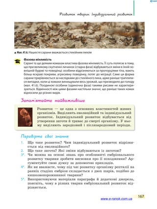 Розвиток тварин. індивідуальний розвиток
167
Фазова мінливість
Сарані та ще деяким комахам властива фазова мінливість. Її суть полягає в тому,
що при великому скупченні личинок (стадна фаза) відбуваються зміни в їхній зо-
внішній будові та поведінці: особини відрізняються за пропорціями тіла, мають
більш яскраві покриви, агресивну поведінку, потяг до міграції. Саме ця форма
сарани прирівнюється за наслідками до стихійного лиха, адже раніше трапляли-
ся випадки, коли ці комахи винищували весь урожай, що призводило до голоду
(мал. 41.6). Поодинокі особини (одиночна фаза) такими рисами не характери-
зуються. Відмінності між цими фазами настільки значні, що раніше таких комах
відносили до різних видів.
запам’ятайте найважливіше
Розвиток — це одна з основних властивостей живих
організмів. Виділяють еволюційний та індивідуальний
розвиток. Індивідуальний розвиток відбувається від
утворення зиготи й триває до смерті організму. У ньо-
му виділяють зародковий і післязародковий періоди.
Перевірте свої знання
1. Що таке розвиток? Чим індивідуальний розвиток відрізня-
ється від еволюційного?
2. Що таке зигота? Які зміни відбуваються із зиготою?
3*. Чи можна на основі знань про особливості ембріонального
розвитку тварини зробити висновки про її походження? Ар-
гументуйте свою думку за допомогою прикладів.
4*. Як ви вважаєте, чому під час розвитку організму рептилії на
ранніх стадіях ембріон складається з двох шарів, подібно до
кишковопорожнинної тварини?
5*. Використовуючи матеріали параграфа й додаткові джерела,
поясніть, чому в різних тварин ембріональний розвиток від-
різняється.
Мал.41.6.Нашестя сарани вважається стихійним лихом
www.e-ranok.com.ua
 