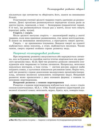 Післязародковий розвиток тварин
169
піклуються про потомство та оберігають його, шанси на виживання
більші.
З настанням статевої зрілості тварини стають здатними до розмно-
ження. Деякі організми розмножуються періодично кілька разів за
життя (щуки, черепахи), а інші — безперервно (паразитичні черви).
Є й такі, що розмножуються тільки раз у житті, після чого гинуть
(прохідні риби, вугри).
Старість і смерть
Після зрілості наступає старість — закономірний період у житті
тварини, коли вона припиняє розмноження, стає менш життєздатною.
Її шанси на виживання зменшуються, а вірогідність смерті зростає.
Смерть — це припинення існування. Завдяки смерті на планеті
відбувається зміна поколінь, а отже, відбувається еволюція. Таким
чином, смерть окремої особини сприяє розвитку виду.
Непрямий післязародковий розвиток
При непрямому розвитку вилуплюється або народжується личин-
ка, яка за будовою та способом життя істотно відрізняється від дорос-
лого організму (мал. 42.2). Цей тип розвитку дозволяє зменшити кон-
куренцію між тваринами та їхніми личинкам. Наприклад, метелики
живляться нектаром, а їхня гусінь — листям рослин; дорослі жаби
поїдають комах, а пуголовки живляться рослинною їжею. Окрім того,
цей тип розвитку сприяє розселенню малорухомих організмів (напри-
клад, личинки молюсків зумовлюють поширення виду). Непрямий
розвиток може проявлятися у двох основних формах: з  повним та
неповним перетворенням.
Непрямий розвиток з повним перетворенням
Розвиток з повним перетворенням відбувається тоді, коли є стадія
спокою (лялечка) (мал. 42.3, с. 170). Такий розвиток характерний для
великої кількості комах: метеликів, мурах, бджіл, мух, комарів тощо.
Мал. 42.2. Жук-олень та кумка — тварини з непрямим післязародковим розвитком
www.e-ranok.com.ua
 