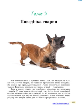 173
Тема 3
Поведінка тварин
Ми ознайомимося із цікавим матеріалом, що стосується тіль-
ки особливостей тварин, бо тільки їм притаманна певна поведінка.
Ми  знаємо про приклади унікальної і часто незрозумілої поведінки
тварин. Іноді вона здається розумною, а іноді — безглуздою.
Тож у цьому розділі ми спробуємо відповісти на запитання
«чому?». У чому полягає біологічний сенс тієї чи іншої поведінки?
З яких елементів вона складається? На ці запитання дає відповідь
наука етологія, про яку ви також дізнаєтесь. Після вивчення цього
розділу світ тварин стане для вас більш зрозумілим і цікавим.
www.e-ranok.com.ua
 