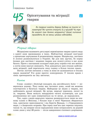 ПоВЕдінКа ТВаРин
180
Як тварині знайти дорогу додому за тисячі кі-
лометрів? Які чуття стануть їй у пригоді? Чи тре-
ба взагалі так далеко мігрувати? Цікаві питання
приводять до не менш цікавих відповідей.
45 Орієнтування та міграції
тварин
міграції тварин
Міграціями називають регулярні переміщення тварин одного виду
з однієї зони проживання в іншу. Найчастіше міграції пов’язані
з процесами харчування й розмноження тварин. Наприклад, ластівки
й лелеки розмножуються в Україні. Це для них зручно, бо корму
(комах для ластівок і водяних тварин для лелек) улітку в нас дуже
багато. Проте з настанням холодної пори року кормів стає все менше,
а потім вони взагалі зникають. Тож доводиться цим птахам здійсню-
вати міграції, щоб перечекати лиху годину в більш теплих краях.
Постає логічне питання: а чому ж вони не залишаються в теплих
краях назовсім? Усе дуже просто: конкуренція. У теплих краях і
своїх претендентів на їжу вистачає.
Хомінг
Слово «хомінг» (homing) походить від англійського home — по-
вертатися додому. Таку назву має інстинкт дому, який ми можемо
спостерігати в багатьох тварин. Найкраще це видно у тварин, які
здійснюють дальні міграції. Це вугри, морські черепахи, лососі та
ін. тварини. Вони можуть мандрувати тисячі кілометрів, але для
розмноження все одно повертаються на те місце, де народилися.
Так, один з видів морських черепах розмножується лише на пев-
ному пляжі в Мексиці, і більше ніде в світі! Черепахи збираються
там, одночасно припливаючи і від берегів Канади, і з Середземного
моря, і з Азорських островів. Про гарну пам’ять цих черепах свідчить
також те, що вперше після народження вони потрапляють на рідний
пляж лише у віці 30 років — після завершення статевого дозрівання.
www.e-ranok.com.ua
 