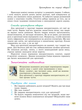 орієнтування та міграції тварин
181
Приклади хомінгу можна зустріти і в домашніх тварин. І собаки,
і коти можуть долати досить значні відстані, щоб повернутися до
місця, яке вважають своєю домівкою. Та набагато краще розвинений
хомінг у поштових голубів. Століття добору привели до того, що ці
птахи стали чудовими спеціалістами в знаходженні дороги додому.
способи орієнтування тварин
Для орієнтації у просторі тварини використовують усі свої ор-
гани чуття. Зорова пам’ять дозволяє запам’ятати місце, яке твари-
на вважає своєю домівкою. Багато тварин можуть орієнтуватися,
запам’ятовуючи, як виглядає місцевість. Як це не дивно, але важливу
роль в орієнтації може відігравати слух. Наприклад, голуби непогано
чують інфразвуки, які поширюються на десятки кілометрів. Що вже
казати про китів, які орієнтуються в океанічному просторі, більше
спираючись на слух, а не на зір!
Нюх для орієнтації використовують як наземні, так і водяні тва-
рини. Для багатьох риб він стає найважливішим засобом орієнтації.
Як показали досліди, лосось, у якого пошкоджений орган нюху,
утрачає вміння знаходити місце нересту.
Перелітні птахи переважно використовують сонячні, зоряні
й магнітні «компаси». Знання положення Сонця відносно горизонту
дає багато можливостей для орієнтації.
запам’ятайте найважливіше
Міграціями називають регулярні переміщення тварин
одного виду з однієї зони проживання в іншу.
Назву «хомінг» має інстинкт дому, який ми можемо
спостерігати в багатьох тварин.
Для орієнтації у просторі тварини використовують усі
свої органи чуття.
Перевірте свої знання
1. Які тварини здійснюють далекі міграції? Назвіть два-три види
таких тварин.
2. Що таке хомінг?
3*. Як тварини використовують слух для орієнтації?
4*. Чи будуть тварини помилятися під час міграцій, якщо маг-
нітні полюси Землі поміняються місцями? Обґрунтуйте свою
думку.
www.e-ranok.com.ua
 
