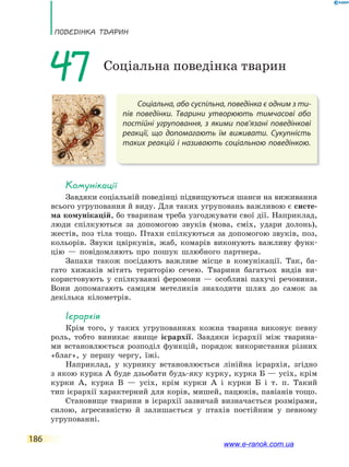 ПоВЕдінКа ТВаРин
186
Соціальна, або суспільна, поведінка є одним з ти-
пів поведінки. Тварини утворюють тимчасові або
постійні угруповання, з якими пов’язані поведінкові
реакції, що допомагають їм виживати. Сукупність
таких реакцій і називають соціальною поведінкою.
47 Соціальна поведінка тварин
Комунікації
Завдяки соціальній поведінці підвищуються шанси на виживання
всього угруповання й виду. Для таких угруповань важливою є систе-
ма комунікацій, бо тваринам треба узгоджувати свої дії. Наприклад,
люди спілкуються за допомогою звуків (мова, сміх, удари долонь),
жестів, поз тіла тощо. Птахи спілкуються за допомогою звуків, поз,
кольорів. Звуки цвіркунів, жаб, комарів виконують важливу функ-
цію — повідомляють про пошук шлюбного партнера.
Запахи також посідають важливе місце в комунікації. Так, ба-
гато хижаків мітять територію сечею. Тварини багатьох видів ви-
користовують у спілкуванні феромони — особливі пахучі речовини.
Вони допомагають самцям метеликів знаходити шлях до самок за
декілька кілометрів.
ієрархія
Крім того, у таких угрупованнях кожна тварина виконує певну
роль, тобто виникає явище ієрархії. Завдяки ієрархії між тварина-
ми встановлюється розподіл функцій, порядок використання різних
«благ», у першу чергу, їжі.
Наприклад, у курнику встановлюється лінійна ієрархія, згідно
з якою курка А буде дзьобати будь-яку курку, курка Б — усіх, крім
курки А, курка В — усіх, крім курки А і курки Б і т. п. Такий
тип ієрархії характерний для корів, мишей, пацюків, павіанів тощо.
Становище тварини в ієрархії зазвичай визначається розмірами,
силою, агресивністю й залишається у птахів постійним у певному
угрупованні.
www.e-ranok.com.ua
 