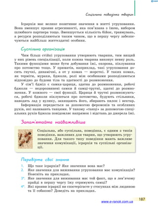 соціальна поведінка тварин
187
Ієрархія має велике позитивне значення в житті угруповання.
Вона зменшує прояви агресивності, яка пов’язана з їжею, вибором
шлюбного партнера тощо. Зменшується кількість бійок, травмувань,
а ресурси розподіляються таким чином, що в першу чергу забезпе-
чуються найбільш життєздатні особини.
суспільна організація
Чим більш стійкі угруповання утворюють тварини, тим вищий
у них рівень спеціалізації, коли кожна тварина виконує певну роль.
Такими функціями може бути добування їжі, охорона, піклування
про потомство тощо. У приматів, наприклад, такі угруповання до-
сить гнучкі, динамічні, а от у комах — жорсткі. У таких комах,
як терміти, мурахи, бджоли, ролі між особинами розподіляються
відповідно до будови тіла та здатності до розмноження.
У сім’ї бджіл є самка-цариця, здатна до розмноження, робочі
бджоли — недорозвинені самки й самці-трутні, здатні до розмно-
ження. У кожного — свої функції. Цариця й трутні розмножують-
ся, робочі бджоли піклуються про потомство, будують стільники,
наводять лад у вулику, захищають його, збирають пилок і нектар.
Інформація передається за допомогою феромонів та особливих
рухів, які називають танцями. У такому «танці» за допомогою спеці-
альних рухів бджола повідомляє напрямок і відстань до джерела їжі.
запам’ятайте найважливіше
Соціальна, або суспільна, поведінка, є одним з типів
поведінки, важливих для тварин, що утворюють угру-
повання. Для такого типу поведінки мають важливе
значення комунікації, ієрархія та суспільні організа-
ції.
Перевірте свої знання
1. Що таке ієрархія? Яке значення вона має?
2. Яке значення для виживання угруповання має комунікація?
Поясніть на прикладах.
3*. Яке значення для виживання має той факт, що в лев’ячому
прайді в першу чергу їжу отримують самці?
4*. Які прояви ієрархії ви спостерігаєте у стосунках між людиною
та її собакою? Доведіть на прикладах.
www.e-ranok.com.ua
 