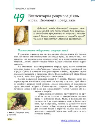 ПоВЕдінКа ТВаРин
190
Будь-який хазяїн домашньої тварини знає,
що  його собака (кіт, папуга тощо) дуже розумний.
А  що свідчить про розумність тварини з погляду
науки? Уміння використовувати знаряддя праці?
Чи вміння розмовляти? Спробуймо розібратися.
49 Елементарна розумова діяль-
ність. Еволюція поведінки
Використання тваринами знарядь праці
У давнину існувала думка, що людина відрізняється від тварин
тим, що може використовувати знаряддя праці. Та минув час, і ви-
явилося, що використання знарядь праці не є винятковою ознакою
людини. Досить багато тварин також цілком успішно ними корис-
туються.
Як виявилося, для використання знарядь праці навіть наявність
великого мозку не є обов’язковою умовою. Невеликі поодинокі оси
з родів Сфекс і Амофіла використовують камінці, будуючи нірки
для своїх нащадків у сипучому піску. Щоб зробити цей пісок більш
щільним, вони його утрамбовують камінцями.
Досить популярні знаряддя праці й у птахів. Папуги часто ви-
користовують шматочки пластмаси чи металу для того, щоб підня-
ти защіпку дверцят своєї клітки. Цікаво поводиться зі знаряддями
праці дятловий в’юрок з Галапагоських островів. Для здобування
личинок комах з-під кори він використовує гострі гілочки або ко-
лючки кактусів.
Серед ссавців головним претендентом на дру-
ге місце після людини з використання знарядь
праці є шимпанзе (мал. 49.1). І Шимпанзе ви-
готовляють і використовують досить багато зна-
рядь. Це, наприклад, камені, за допомогою яких
вони лущать горіхи; палички з обідраною корою
для ловіння мурах і термітів; палиці для різних
життєвих ситуацій (приміром, щоб дістати плід
з тонкої гілки).
Мал. 49.1. Знаряддя праці
у приматів
www.e-ranok.com.ua
 