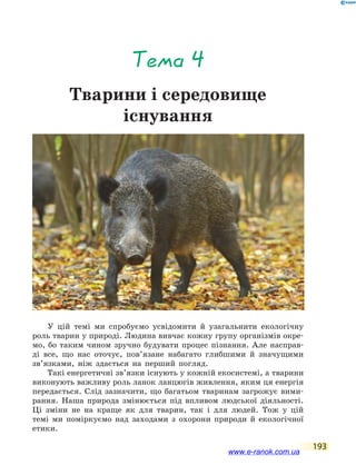 193
Тема 4
Тварини і середовище
існування
У цій темі ми спробуємо усвідомити й узагальнити екологічну
роль тварин у природі. Людина вивчає кожну групу організмів окре-
мо, бо таким чином зручно будувати процес пізнання. Але насправ-
ді все, що нас оточує, пов’язане набагато глибшими й значущими
зв’язками, ніж здається на перший погляд.
Такі енергетичні зв’язки існують у кожній екосистемі, а тварини
виконують важливу роль ланок ланцюгів живлення, яким ця енергія
передається. Слід зазначити, що багатьом тваринам загрожує вими-
рання. Наша природа змінюється під впливом людської діяльності.
Ці  зміни не на краще як для тварин, так і для людей. Тож у цій
темі ми поміркуємо над заходами з охорони природи й  екологічної
етики.
www.e-ranok.com.ua
 
