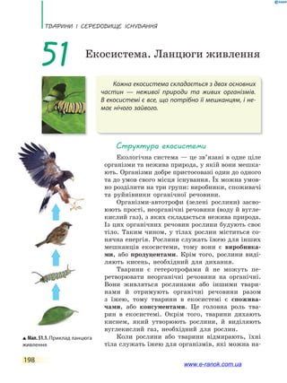 ТВаРини і сЕРЕдоВищЕ існУВаннЯ
198
Кожна екосистема складається з двох основних
частин — неживої природи та живих організмів.
В екосистемі є все, що потрібно її мешканцям, і не-
має нічого зайвого.
51 Екосистема. Ланцюги живлення
структура екосистеми
Екологічна система — це зв’язані в одне ціле
організми та нежива природа, у якій вони мешка-
ють. Організми добре пристосовані один до одного
та до умов свого місця існування. Їх можна умов-
но розділити на три групи: виробники, споживачі
та руйнівники органічної речовини.
Організми-автотрофи (зелені рослини) засво-
юють прості, неорганічні речовини (воду й вугле-
кислий газ), з яких складається нежива природа.
Із цих органічних речовин рослини будують своє
тіло. Таким чином, у тілах рослин міститься со-
нячна енергія. Рослини служать їжею для інших
мешканців екосистеми, тому вони є виробника-
ми, або продуцентами. Крім того, рослини виді-
ляють кисень, необхідний для дихання.
Тварини є гетеротрофами й не можуть пе-
ретворювати неорганічні речовини на органічні.
Вони живляться рослинами або іншими твари-
нами й отримують органічні речовини разом
з їжею, тому тварини в екосистемі є спожива-
чами, або консументами. Це головна роль тва-
рин в екосистемі. Окрім того, тварини дихають
киснем, який утворюють рослини, й виділяють
вуглекислий газ, необхідний для рослин.
Коли рослини або тварини відмирають, їхні
тіла служать їжею для організмів, які можна на-
Мал.51.1.Приклад ланцюга
живлення
www.e-ranok.com.ua
 