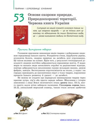 ТВаРини і сЕРЕдоВищЕ існУВаннЯ
202
Ситуація на нашій планеті склалася таким чи-
ном, що охорона природи — це не тільки акт гу-
манізму по відношенню до інших біологічних видів,
це — умова виживання людини як біологічного виду.
53 Основи охорони природи.
Природоохоронні території.
Червона книга України
Причини вимирання тварин
Головною причиною зникнення видів тварин є руйнування люди-
ною середовища їхнього життя. Розорюючи степи, вирубуючи дерева,
осушуючи болота, людина прирікає на загибель цілі угруповання.
Це також впливає на клімат. Крім того, у результаті господарської ді-
яльності людини постійно забруднюється середовище життя. У водах
морів та океанів люди затоплюють отруйні та радіоактивні відходи,
повітря забруднюється вихлопними газами мільярдів машин, димом
фабрик, заводів. Застосування отрутохімікатів на полях, у садах і на
городах призводить до накопичення отрут у тілах тварин, порушення
процесів їхнього розвитку й урешті — до загибелі.
Не можна не згадати про варварське винищування тварин через
красиве хутро, пір’я або просто заради забави. Жахливою є історія
зникнення з лиця Землі нелітаючого птаха дронта (мал. 53.1), яко-
го просто задля втіхи забивали палицями. Стеллерова корова (мал.
53.2), унікальний морський ссавець, також стала легкою здобиччю
Мал.53.1.Дронт Мал.53.2.Стеллерова корова
www.e-ranok.com.ua
 