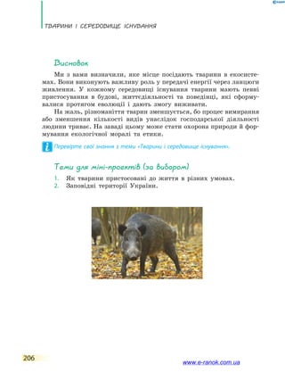 Тварини і середовище існування
206
Висновок
Ми з вами визначили, яке місце посідають тварини в екосисте-
мах. Вони виконують важливу роль у передачі енергії через ланцюги
живлення. У кожному середовищі існування тварини мають певні
пристосування в будові, життєдіяльності та поведінці, які сформу-
валися протягом еволюції і дають змогу виживати.
На жаль, різноманіття тварин зменшується, бо процес вимирання
або зменшення кількості видів унаслідок господарської діяльності
людини триває. На заваді цьому може стати охорона природи й фор-
мування екологічної моралі та етики.
Перевірте свої знання з теми «Тварини і середовище існування».
Теми для міні-проектів (за вибором)
1.	 Як тварини пристосовані до життя в різних умовах.
2.	 Заповідні території України.
www.e-ranok.com.ua
 