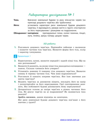 210
Лабораторне дослідження № 1
Тема.	 Вивчення зовнішньої будови та руху кільчастих червів (на
прикладі дощового черв’яка або трубочника).
Мета:	 установити характерні риси зовнішньої будови дощового
черв’яка, її відповідність умовам життя в ґрунті; спостерігати
за його пересуванням і реакціями на подразнення.
Обладнання і матеріали:	 препарувальні голки, скляні палички, пінцет,
лупа, лінійка, аркуш паперу; дощові черви.
Хід роботи
	1.	 Розгляньте дощового черв’яка. Порівняйте побачене з малюнком
і  позначте частини тіла черв’яка. Визначте форму його тіла, колір
і характер членування.
Презентація 1
	2.	 Користуючись лупою, визначте передній і задній кінці тіла. Що на
них розташоване?	
	3.	 Визначте й запишіть, на якому кінці тіла знаходиться потовщення —
поясок. Скільки члеників його утворює?
	4.	 Установіть довжину й товщину тіла дощового черв’яка. Визначте
спинну й черевну частини тіла. Чим вони відрізняються?
	5.	 Розгляньте й опишіть покриви черв’яка. Яке їхнє значення для
життя черв’яка?
	6.	 Візьміть черв’яка за допомогою пінцета, покладіть його на папір
і  поспостерігайте за його пересуванням. Свої спостереження запи-
шіть. Які особливості будови допомагають йому пересуватися?
	7.	 Доторкніться голкою до шкіри черв’яка в різних частинах його
тіла. Як реагує черв’як на ці подразнення? Як називається така
реакція?
	 	 Зробіть висновок, давши відповідь на запитання.
	 	 Які риси зовнішньої будови дощового черв’яка пов’язані з його
життям у ґрунті?
www.e-ranok.com.ua
 