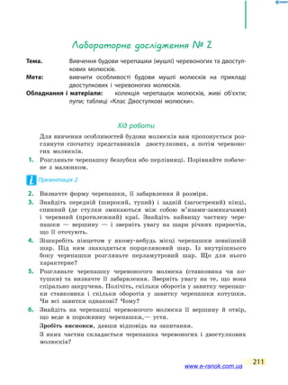 211
Лабораторне дослідження № 2
Тема.	 Вивчення будови черепашки (мушлі) черевоногих та двостул-
кових молюсків.
Мета:	 вивчити особливості будови мушлі молюсків на прикладі
двостулкових і черевоногих молюсків.
Обладнання і матеріали:	 колекція черепашок молюсків, живі об’єкти;
лупи; таблиці «Клас Двостулкові молюски».
Хід роботи
	 	 Для вивчення особливостей будови молюсків вам пропонується роз-
глянути спочатку представників двостулкових, а потім черевоно-
гих молюсків.
	1. 	 Розгляньте черепашку беззубки або перлівниці. Порівняйте побаче-
не з малюнком.
Презентація 2
	2.	 Визначте форму черепашки, її забарвлення й розміри.
	3.	 Знайдіть передній (широкий, тупий) і задній (загострений) кінці,
спинний (де стулки змикаються між собою м’язами-замикачами)
і  черевний (протилежний) краї. Знайдіть найвищу частину чере-
пашки — вершину — і зверніть увагу на шари річних приростів,
що її оточують.
	4.	 Зішкребіть пінцетом у якому-небудь місці черепашки зовнішній
шар. Під ним знаходиться порцеляновий шар. Із внутрішнього
боку черепашки розгляньте перламутровий шар. Що для нього
характерне?
	5.	 Розгляньте черепашку черевоногого молюска (ставковика чи ко-
тушки) та визначте її забарвлення. Зверніть увагу на те, що вона
спірально закручена. Полічіть, скільки оборотів у завитку черепаш-
ки ставковика і скільки оборотів у завитку черепашки котушки.
Чи всі завитки однакові? Чому?
	6.	 Знайдіть на черепашці черевоногого молюска її вершину й отвір,
що веде в порожнину черепашки,— устя.
	 	 Зробіть висновки, давши відповідь на запитання.
	 	 З яких частин складається черепашка черевоногих і двостулкових
молюсків?
www.e-ranok.com.ua
 