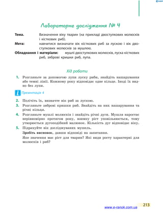 213
Лабораторне дослідження № 4
Тема.	 Визначення віку тварин (на прикладі двостулкових молюсків
і кісткових риб).
Мета:	 навчитися визначати вік кісткових риб за лускою і вік дво-
стулкових молюсків за мушлею.
Обладнання і матеріали:	 мушлі двостулкових молюсків, луска кісткових
риб, зяброві кришки риб, лупа.
Хід роботи
	1.	 Розгляньте за допомогою лупи луску риби, знайдіть нашарування
або темні лінії. Кожному року відповідає одне кільце. Іноді їх вид-
но без лупи.
Презентація 4
	2.	 Полічіть їх, визначте вік риб за лускою.
	3.	 Розгляньте зяброві кришки риб. Знайдіть на них нашарування та
річні кільця.
	4.	 Розгляньте мушлі молюсків і знайдіть річні дуги. Мушля наростає
нерівномірно протягом року, взимку ріст уповільнюється, тому
утворюється дугоподібний малюнок. Кількість дуг відповідає віку.
	5.	 Підрахуйте вік досліджуваних мушель.
	 	 Зробіть висновок, давши відповіді на запитання.
	 	 Яке значення має ріст для тварин? Які види росту характерні для
молюсків і риб?
www.e-ranok.com.ua
 